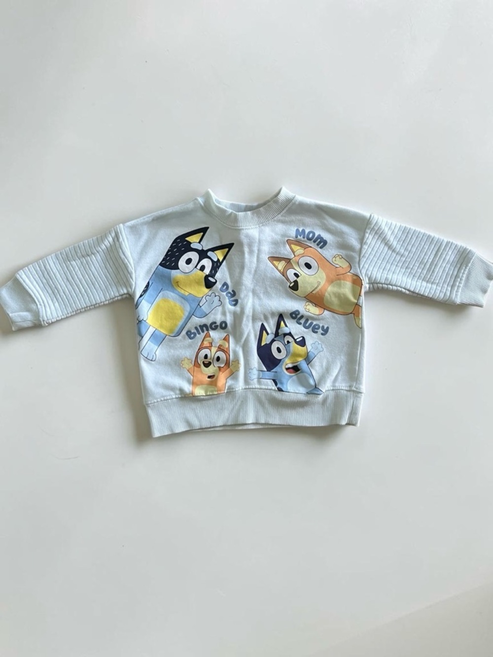 Kids Light Blue 'Bluey & Bingo' Graphic Sweatshirt Size 2T NWOT